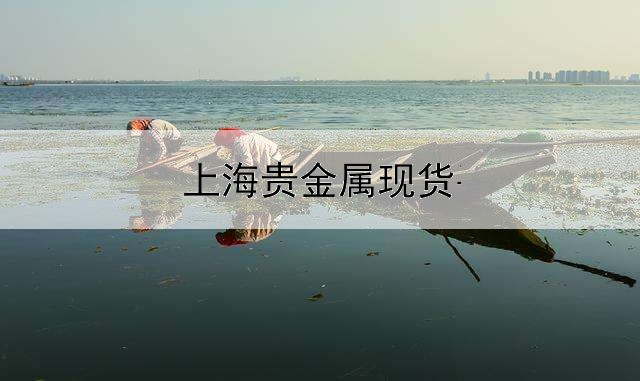 上海贵金属现货平台